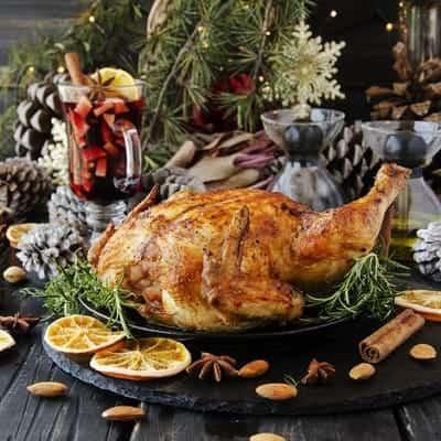 ALTERNATIVES TO CHRISTMAS TURKEY